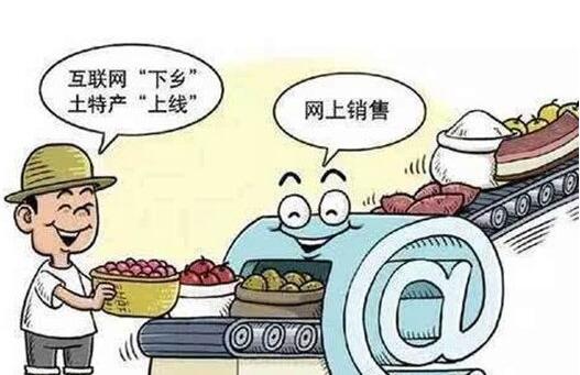 發力農村電商，成都網站建設